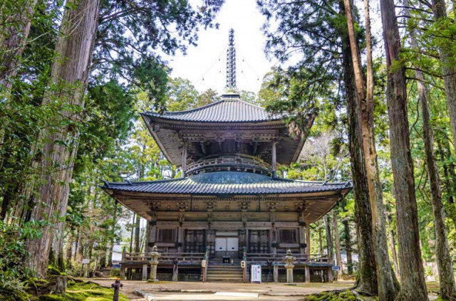 japon - Le temple Danjogaran Saito au mont Koya © Korkusung - Shutterstock