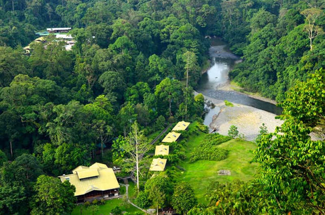 Malaisie - Circuit La Dannum Valley - Vue générale du Borneo Rainforest Lodge