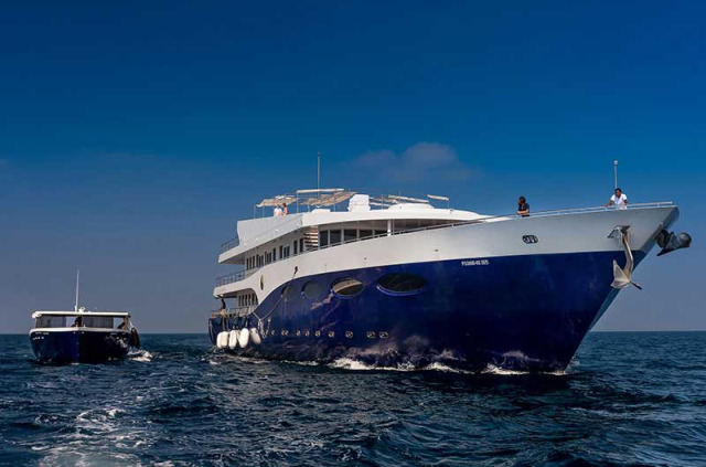 Maldives - Croisière Scubaspa - Scubaspa Yin
