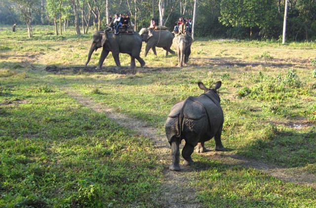 Népal – Safari à dos d'éléphant dans le Parc national du Chitwan © Machan Country Villa