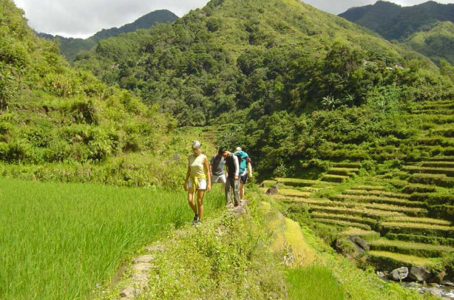 Philippines - Trekking à Banaue