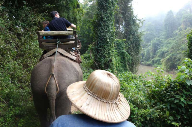 Thailande - Promenade à dos d'éléphant